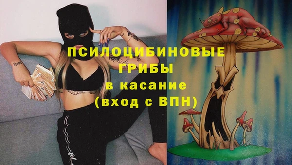 не бодяженный Ладушкин