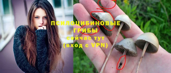 не бодяженный Ладушкин